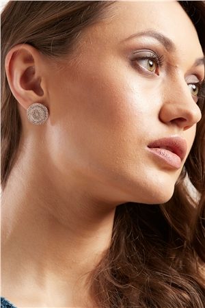 Circle Silver Cubic Zirconia Stud Earrings