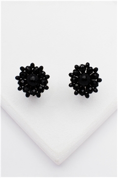 Black Swan Crystal Studs Earrings