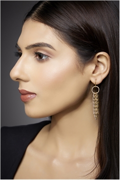 Hazel Gold Link Delicate Earrings