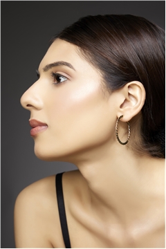 Rosaline Gold Hoop Earrings