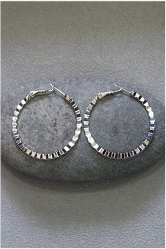 Harriet Silver Hoop Earrings