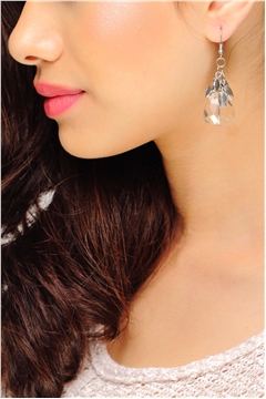 Delicate Crystal Drop Earrings