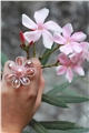 The Babydoll Crystal Floral Ring