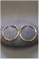 Rosaline Gold Hoop Earrings