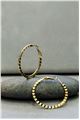 Rosaline Gold Hoop Earrings