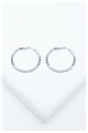 Harriet Silver Hoop Earrings