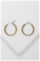 Luciana Gold Hoop Earrings