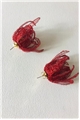 Scarlet Lunar Whisper Earrings