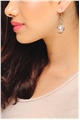 Circle Ring Crystal Drop Earrings