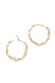 Ice Hoops